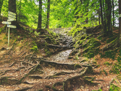 wanderweg eistobel